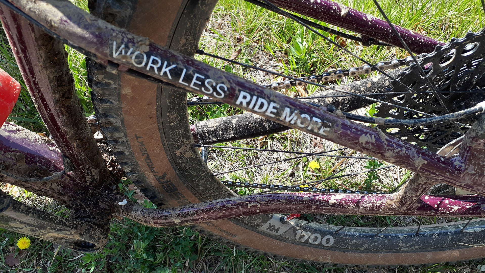 Mtb Fango